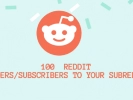 Instant 100 Reddit SubReddit Subscribers
